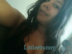 Littleebunny