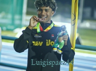 Luigispaez44