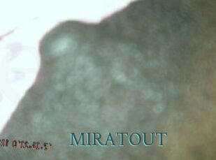 MIRATOUT