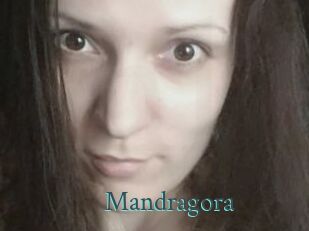 Mandragora