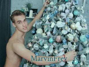 MarvinFrey