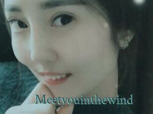 Meetyouinthewind