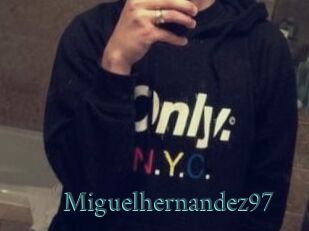 Miguel_hernandez97