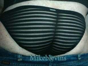 Mikeblevins En live show