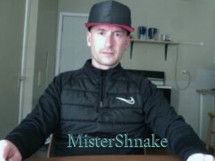 MisterShnake