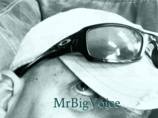 MrBigVoice