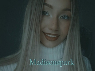 Madisonspark