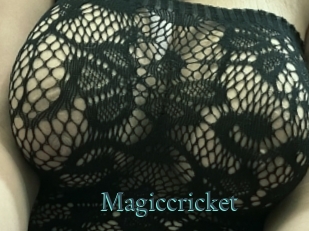 Magiccricket