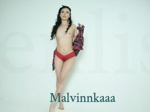Malvinnkaaa