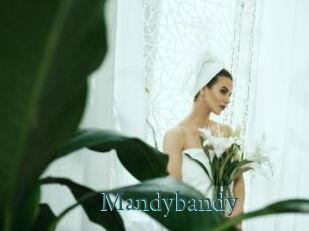 Mandybandy