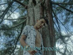 Mathew_brooks