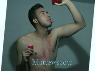 mattewscott En live show