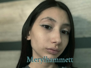 Merylhammett