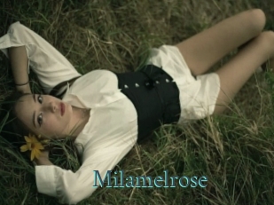 Milamelrose
