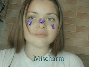 Mischarm