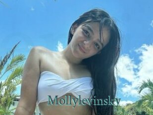 Mollylevinsky