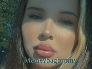 Moneybagbunny