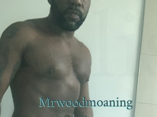 Mrwoodmoaning