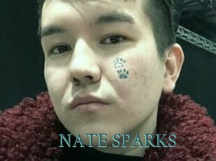NATE_SPARKS
