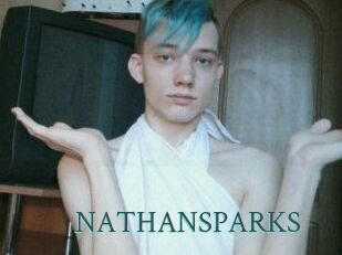 NATHAN_SPARKS