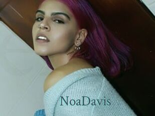 NoaDavis