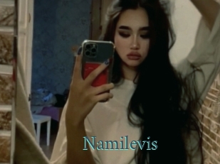 Namilevis