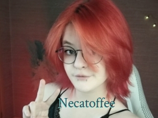 necatoffee En live show