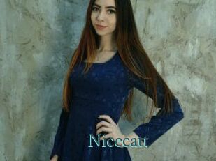 Nicecatt