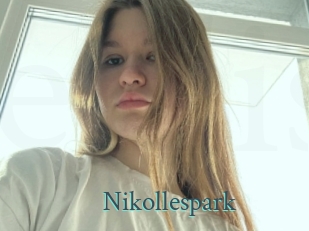 nikollespark En live show