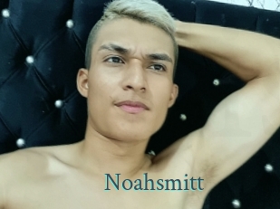 noahsmitt En live show