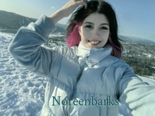 noreenbarks En live show
