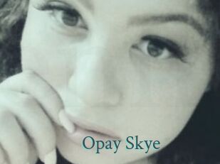 Opay_Skye