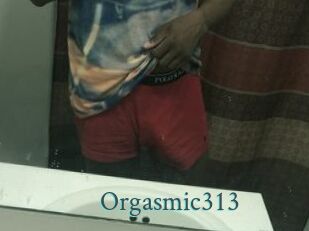 Orgasmic313