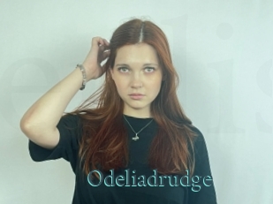 Odeliadrudge