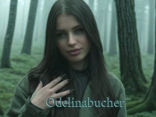 Odelinabucher