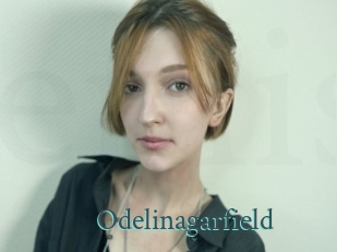 Odelinagarfield