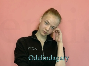 Odelindagary
