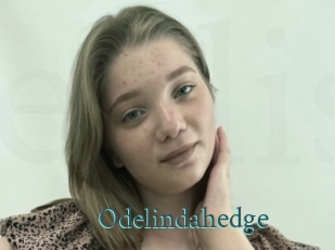 Odelindahedge