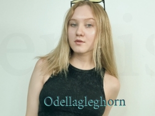 Odellagleghorn
