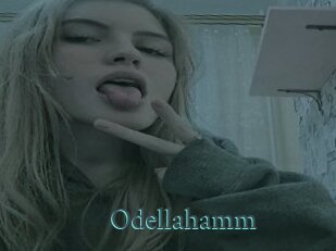 Odellahamm