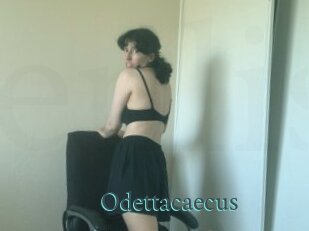 Odettacaecus