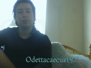 Odettacaecus19