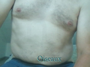 Oiseaux
