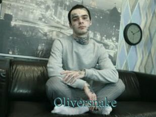 Oliversnake