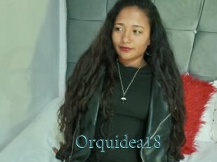 Orquidea18