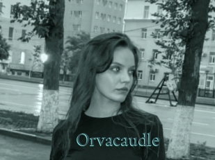 Orvacaudle