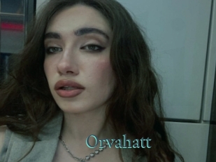 Orvahatt