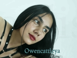 Owencattleya