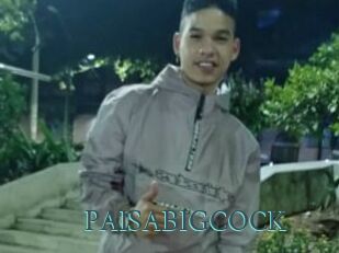 PAISABIGCOCK