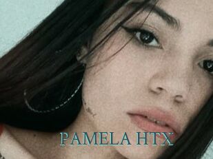 PAMELA_HTX